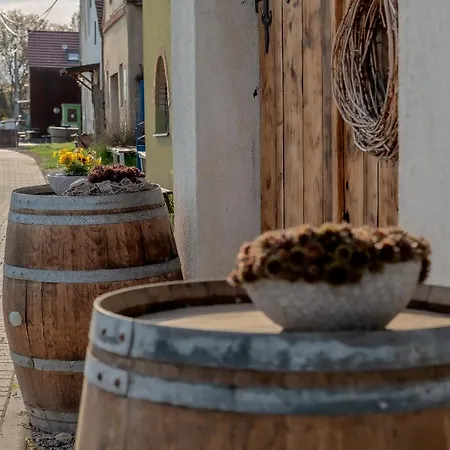 Saldorfska U Vinarskych Sklepu - 8 Osob Novy Saldorf